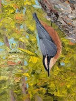 Painting Upside Down Nuthatch  Oil on Canvas
