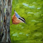 Painting Red Breasted Nuthatch Oil on Gallery Wrapped Canvas